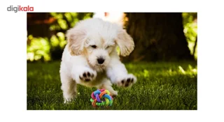 توپ اسباب بازی سگ تو در تو مدل Juguetes Perro Ball-S با زنگوله داخلی، جنس لاستیک قابل انعطاف-17.webp